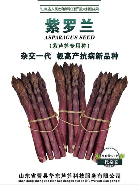 蘆筍生長周期多久？